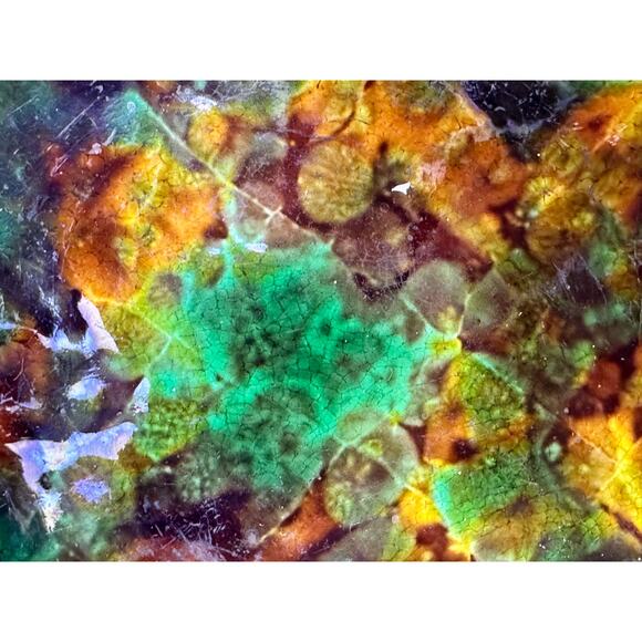 Wedgwood England Antique c. 1870-1890 Majolica Comport Tortoiseshell Glaze-Rare - Picture 4 of 13